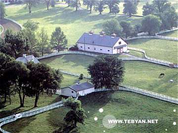 تصاويري زيبا و ديدني از کشور ايالات متحده آمريکا